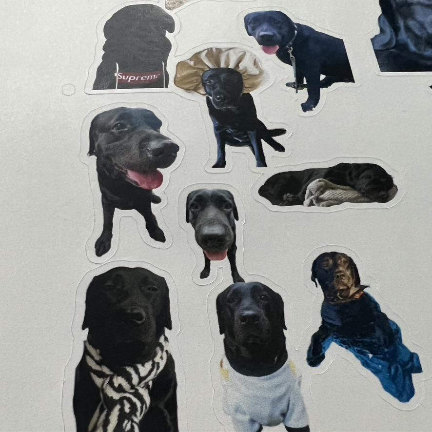 How to Make Stickers with M1 Print & Blade Cut Mode? xTool